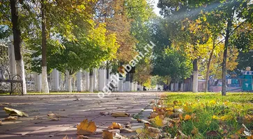 https://ognikubani.ru/wp-content/uploads/2019/10/20191023_091001
