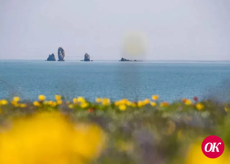 Как оживает таинственный заповедник на востоке Крыма