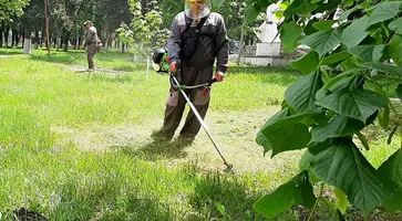 PHOTO-2024-07-11-12-22-08