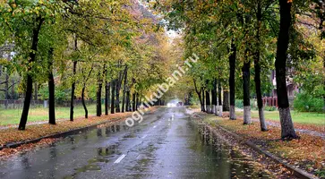 https://ognikubani.ru/wp-content/uploads/2019/10/man-made-road-30556