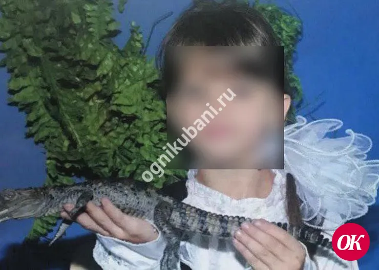 Девятилетняя девочка из хутора Родниковского провалилась в общественный туалет и провела там больше суток