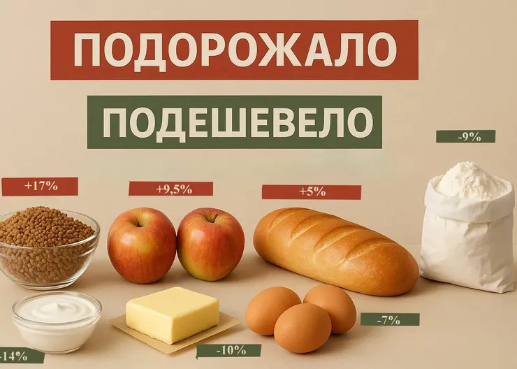 А яйца-то подешевели!