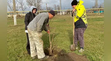 https://ognikubani.ru/wp-content/uploads/2023/01/photo_2023-01-23_11-37-51_1