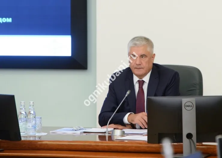 https://ognikubani.ru/wp-content/uploads/2019/11/DSC_8493-800x600