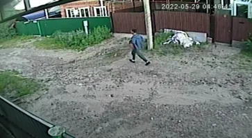 https://ognikubani.ru/wp-content/uploads/2022/05/ognikubani.ru-7-11