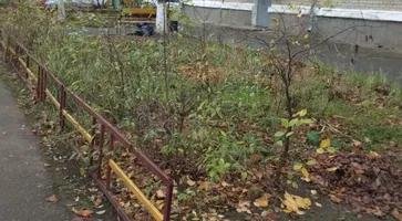 https://ognikubani.ru/wp-content/uploads/2021/11/ognikubani.ru-40
