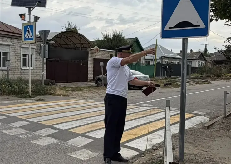 ПЭСД (1)