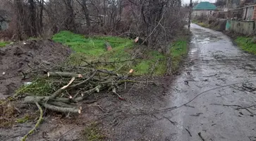 https://ognikubani.ru/wp-content/uploads/2021/12/ognikubani.ru-15