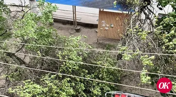 Ураган и его последствия. 20.05.2025