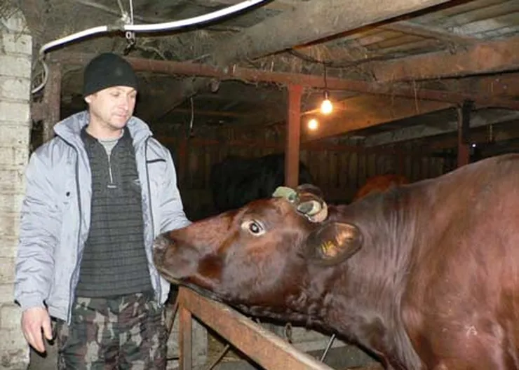 http://www.ognikuban.tw1.ru/wp-content/uploads/2015/05/P1070340