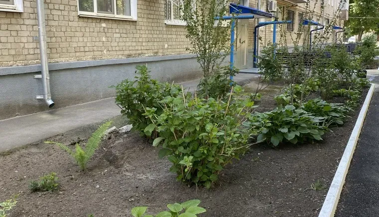 photo_2024-09-27_08-50-34