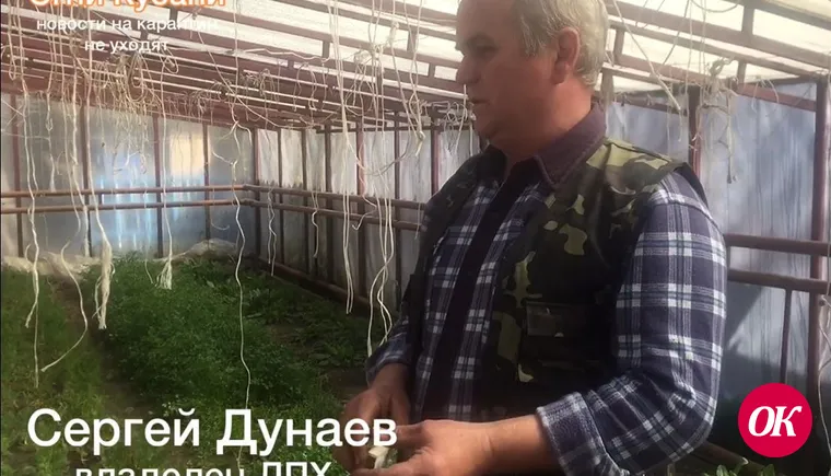 Производителям сельхозпродукции пришлось поменять планы из-за карантина
