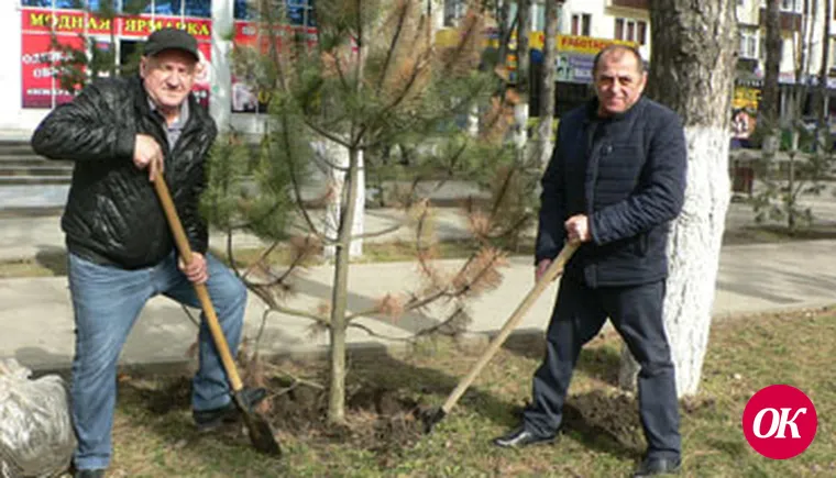 Весна. Арбат зеленеет.