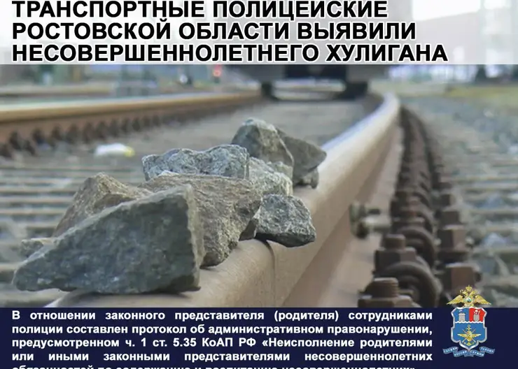 5.35 Хулигансво ро