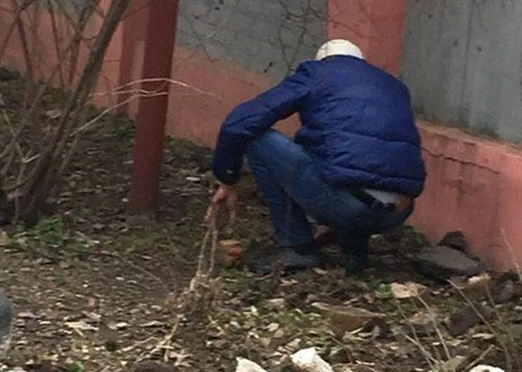 https://ognikubani.ru/wp-content/uploads/2022/11/16437339993470_1