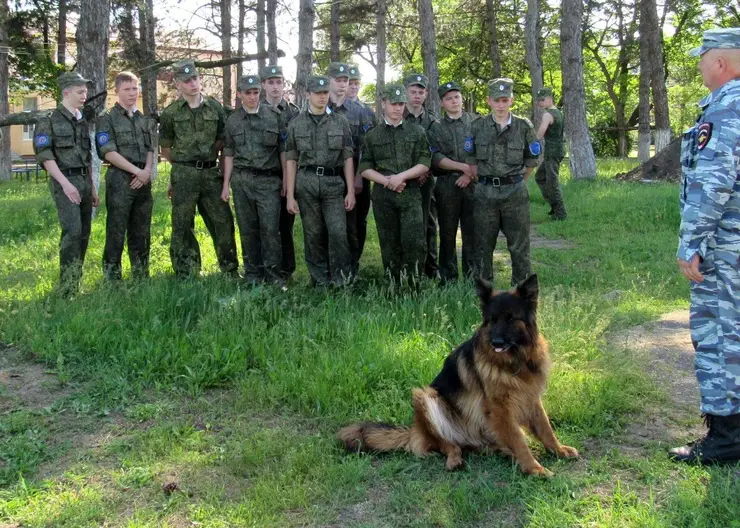 https://ognikubani.ru/wp-content/uploads/2021/05/ognikubani.ru-24