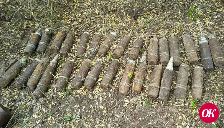 В Гулькевичском районе мужчина нашел в лесополосе 62 боеприпаса времен ВОВ