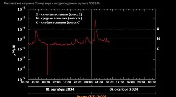 photo_5469824719462195059_y (1)
