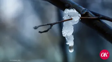 В выходные на Кубани потеплеет до 14 °С