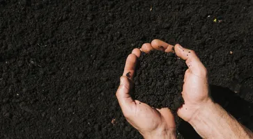 https://ognikubani.ru/wp-content/uploads/2023/03/flat-lay-hands-holding-soil