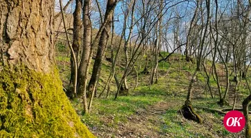 Сегодня в Кавказском районе будет солнечно