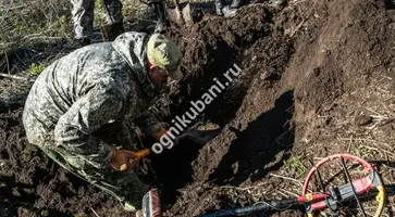 https://ognikubani.ru/wp-content/uploads/2019/10/476aa96364a5c9298ee43f2e03dc038e06902910_824_549_c
