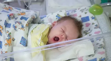 photo_2024-08-16_14-43-18