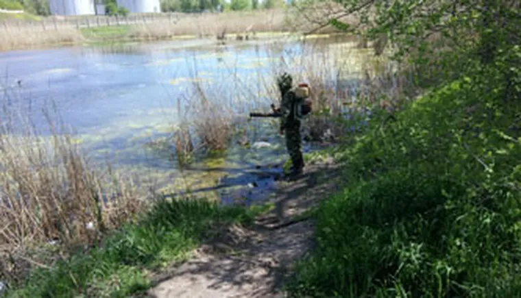 http://www.ognikuban.tw1.ru/wp-content/uploads/2017/05/IMG-20170502-WA0008