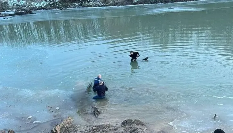 AyptTZQX1aLQlOF2MNdAoWf1KA_U7q3NOEIbJysKw3zfHFKn87aCv5itRPQ6LyOkSQ28mvS_kkTY9AmGxGu8--j8