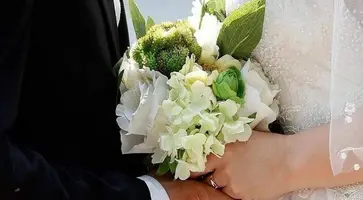 https://ognikubani.ru/wp-content/uploads/2022/02/ognikubani.ru-8-10