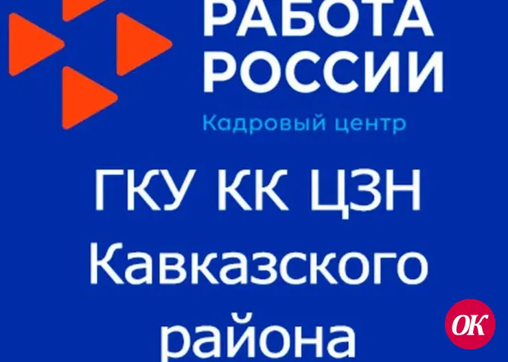 О предоставлении отчетности