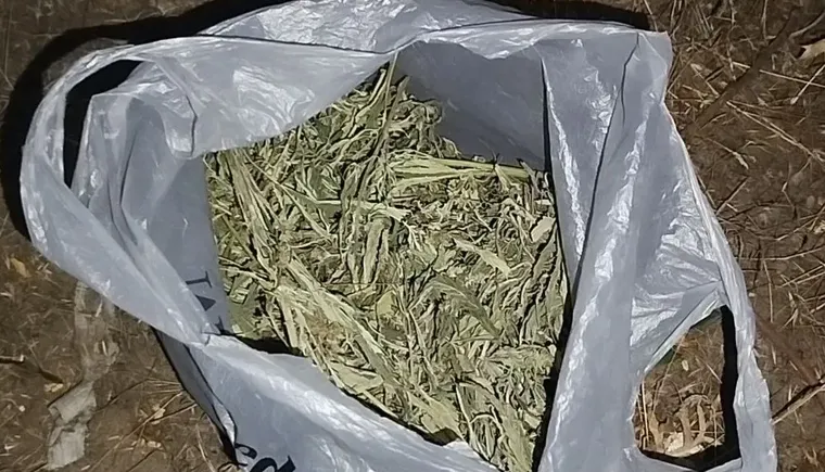 На САЙТ