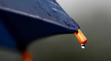 https://ognikubani.ru/wp-content/uploads/2020/06/БП-сайт-14
