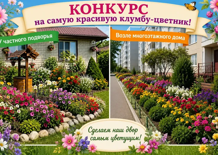 конкурс клумба