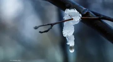 https://ognikubani.ru/wp-content/uploads/2021/01/6484508