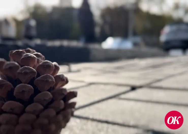Синоптики обещают дожди и похолодание