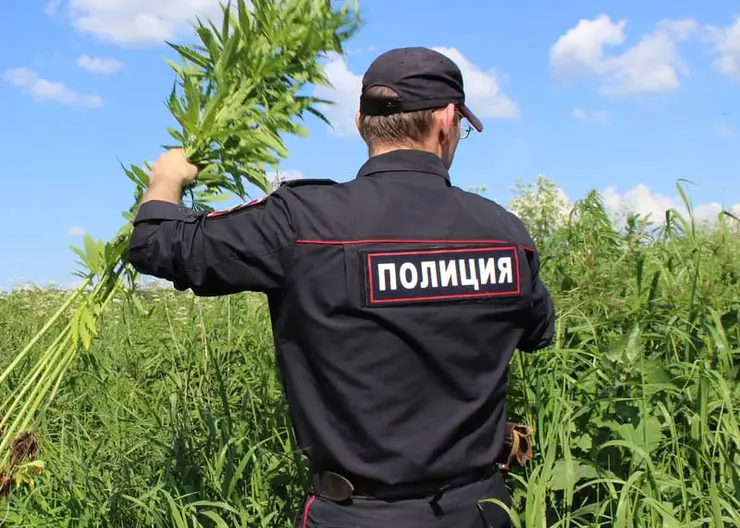 https://ognikubani.ru/wp-content/uploads/2020/06/МАК