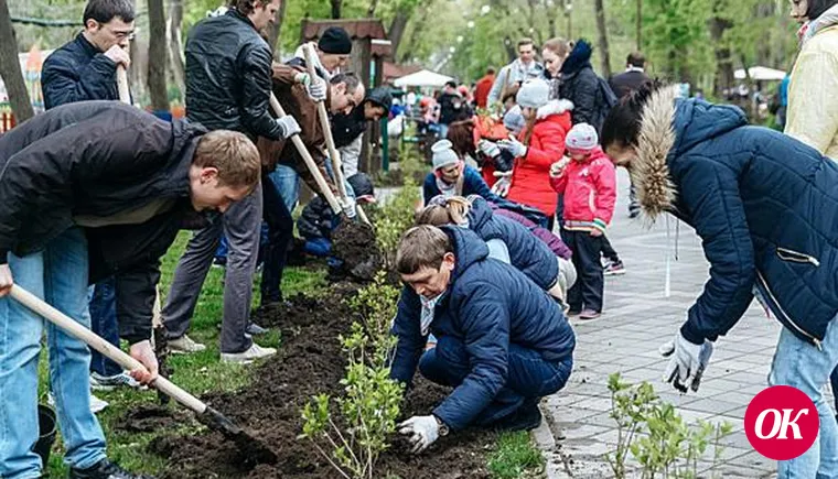Порядка 100 тыс. жителей Кубани приняли участие во Всероссийском субботнике