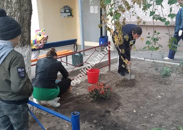 https://ognikubani.ru/wp-content/uploads/2019/10/IMG_20191028_093109_295
