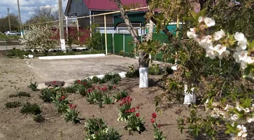 https://ognikubani.ru/wp-content/uploads/2020/04/WhatsApp-Image-2020-04-22-at-11.58.59