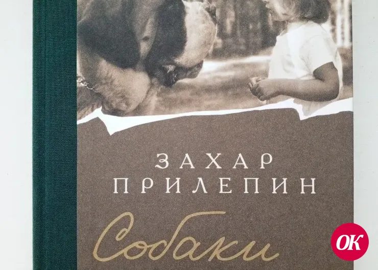 На моей книжной полке сегодня стоят произведения Захара Прилепина, Марины Степновой, Нади Алексеевой