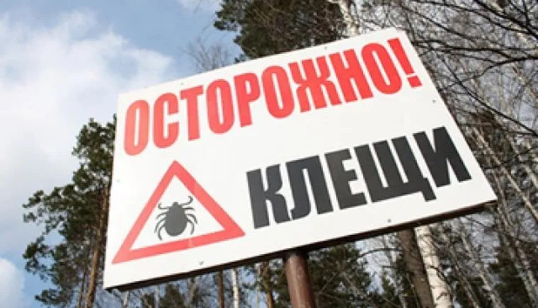 http://www.ognikuban.tw1.ru/wp-content/uploads/2017/04/640-640x480