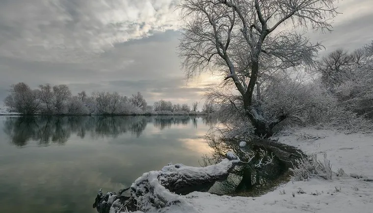 https://ognikubani.ru/wp-content/uploads/2021/02/df09e2534911e61b91fb6c3f60e09eeb