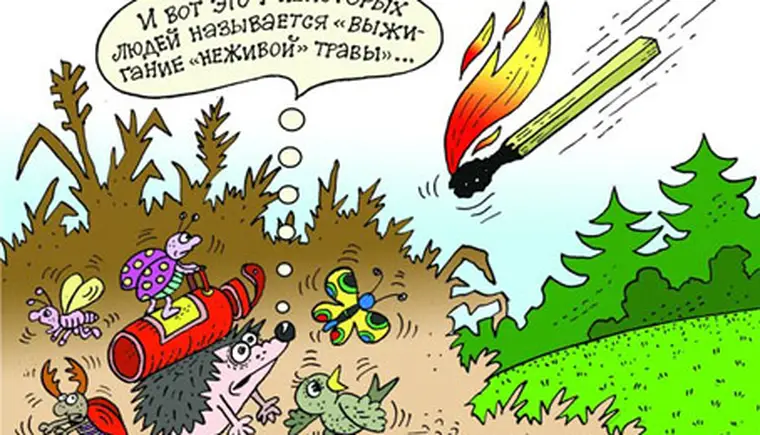 http://www.ognikuban.tw1.ru/wp-content/uploads/2015/07/4fire333