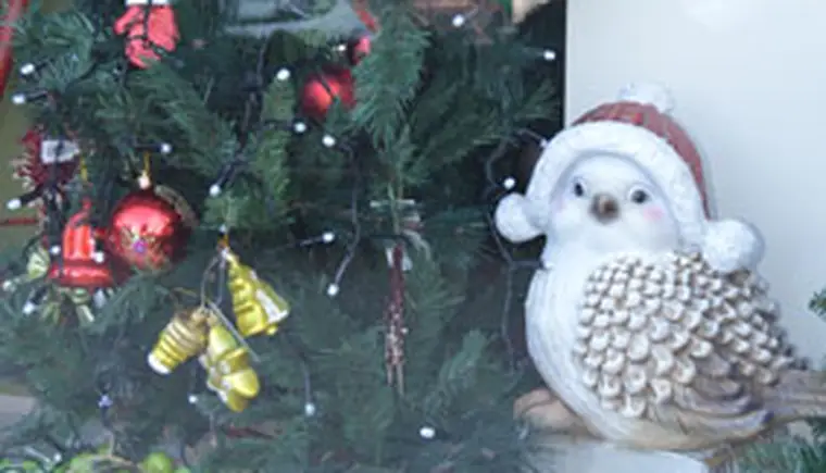 http://www.ognikuban.tw1.ru/wp-content/uploads/2015/12/DSC_0114wedma