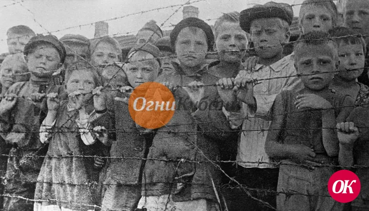 Обнародованы документы об убийстве 214 детей в Ейске в годы войны