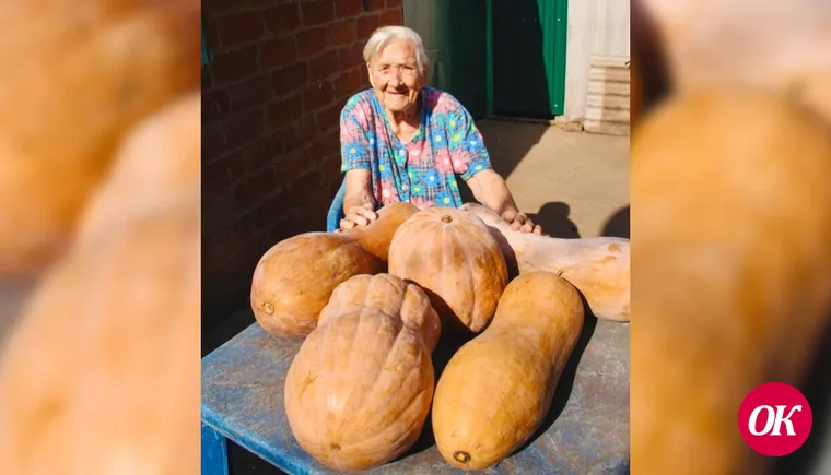 97-летняя жительница станицы Кавказской Мария Зайцева собрала на своем огороде более полтонны тыквы