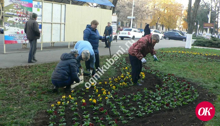 На клумбах города Кропоткина опять работают озеленители