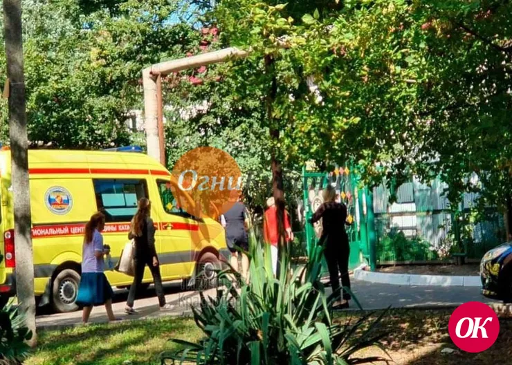 В Краснодаре умер ребенок, на которого в детском саду упало дерево