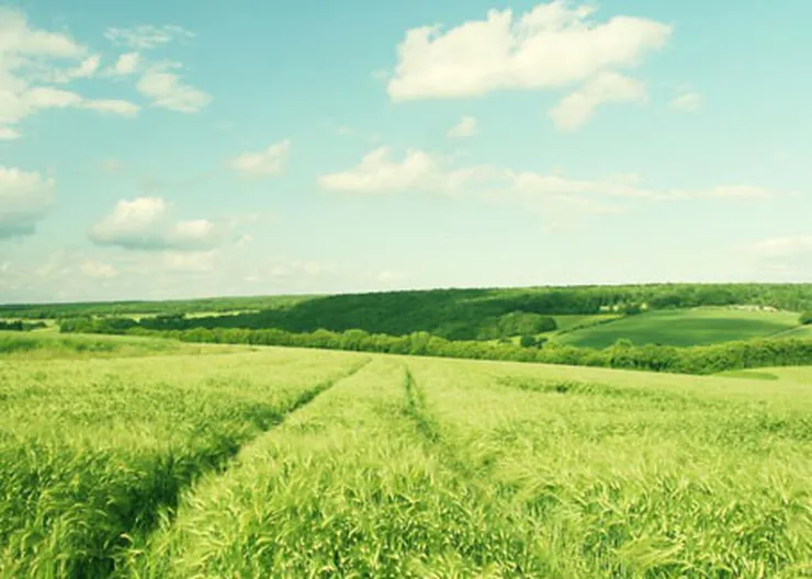 http://www.ognikuban.tw1.ru/wp-content/uploads/2015/06/hq-wallpapers_0